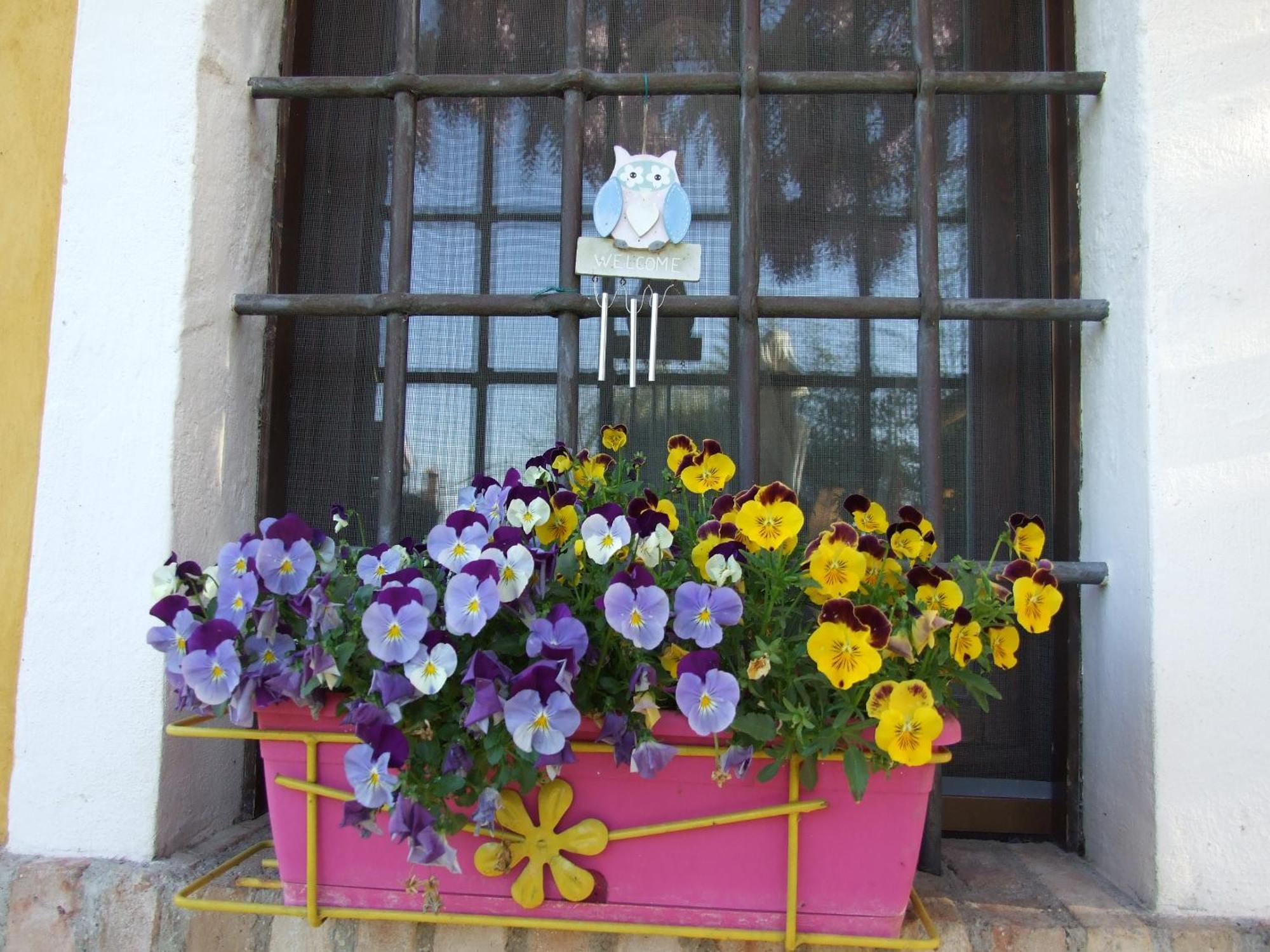 B&B Casacasina Monzambano Exterior foto